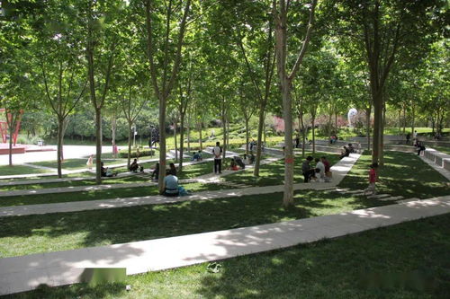 城市园林景观绿化施工中乔木栽植及养护技术研究